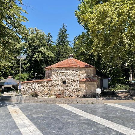 Sokobanja Apartman Aleksa Soko Banja Exterior foto