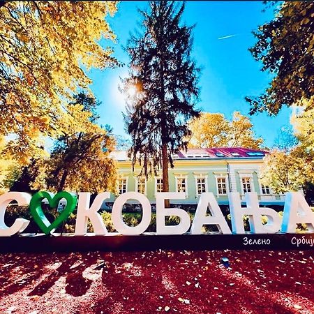 Sokobanja Apartman Aleksa Soko Banja Exterior foto