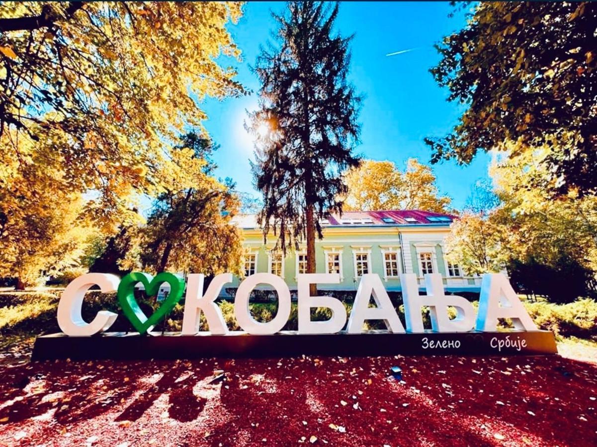 Sokobanja Apartman Aleksa Soko Banja Exterior foto