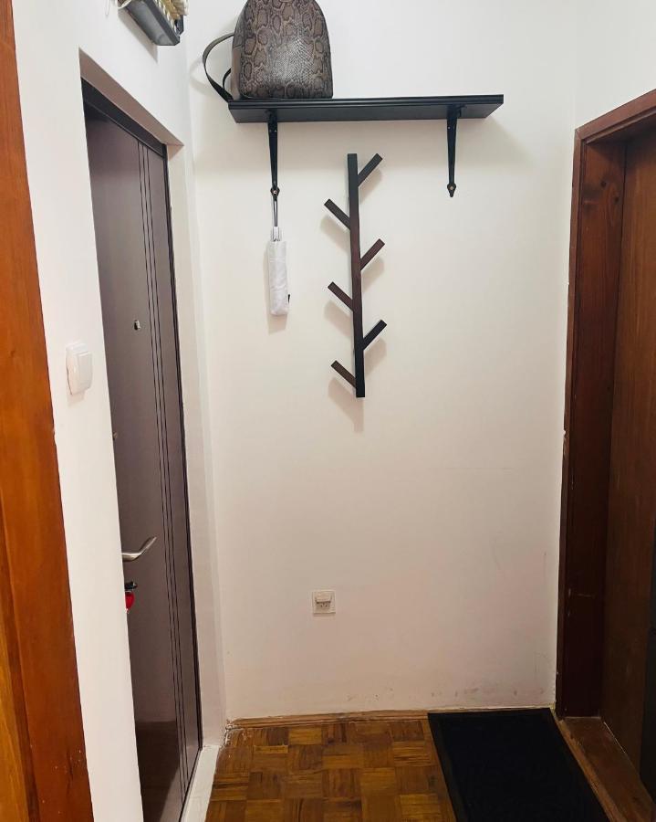 Sokobanja Apartman Aleksa Soko Banja Exterior foto